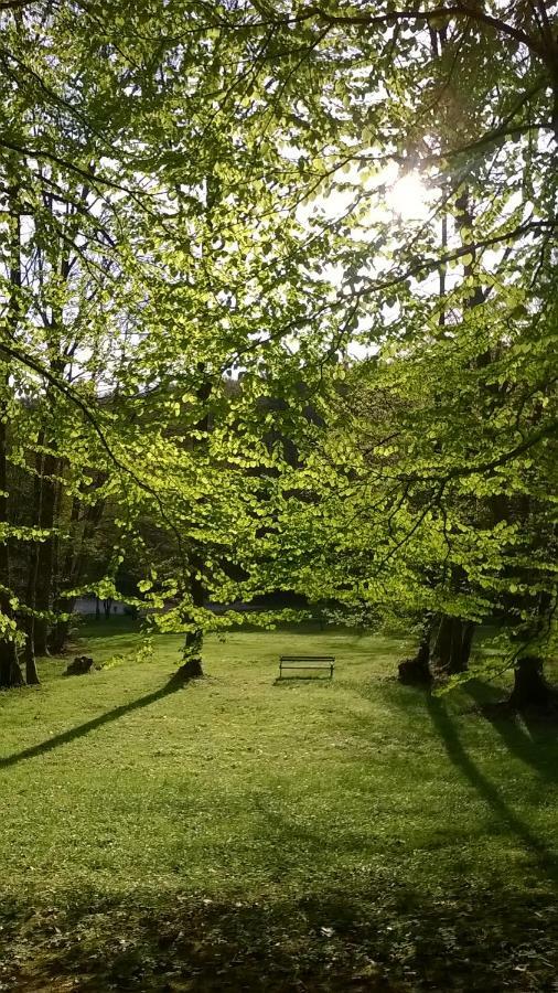 Apartma Obrh Smarjeske Toplice Luaran gambar